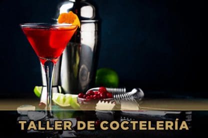 Taller de coctelería Málaga - Copa de cóctel rojo con cítricos